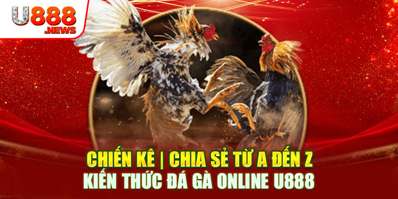 Chiến Kê | Chia Sẻ Từ A Đến Z Kiến Thức Đá Gà Online U888 1 Chiến Kê | Chia Sẻ Từ A Đến Z Kiến Thức Đá Gà Online U888