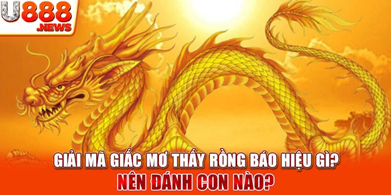Giải Mã Giấc Mơ Thấy Rồng Báo Hiệu Gì? Nên Đánh Con Nào?