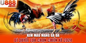 Xem Màu Mạng Gà Đá - Bí Quyết Lựa Chọn Chiến Kê 2024